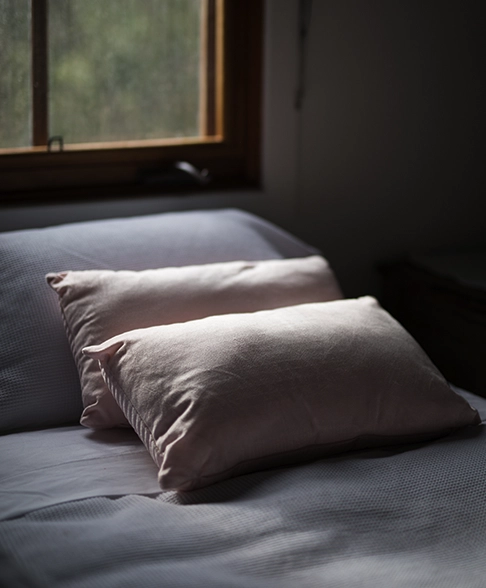 Traditional_Pillows